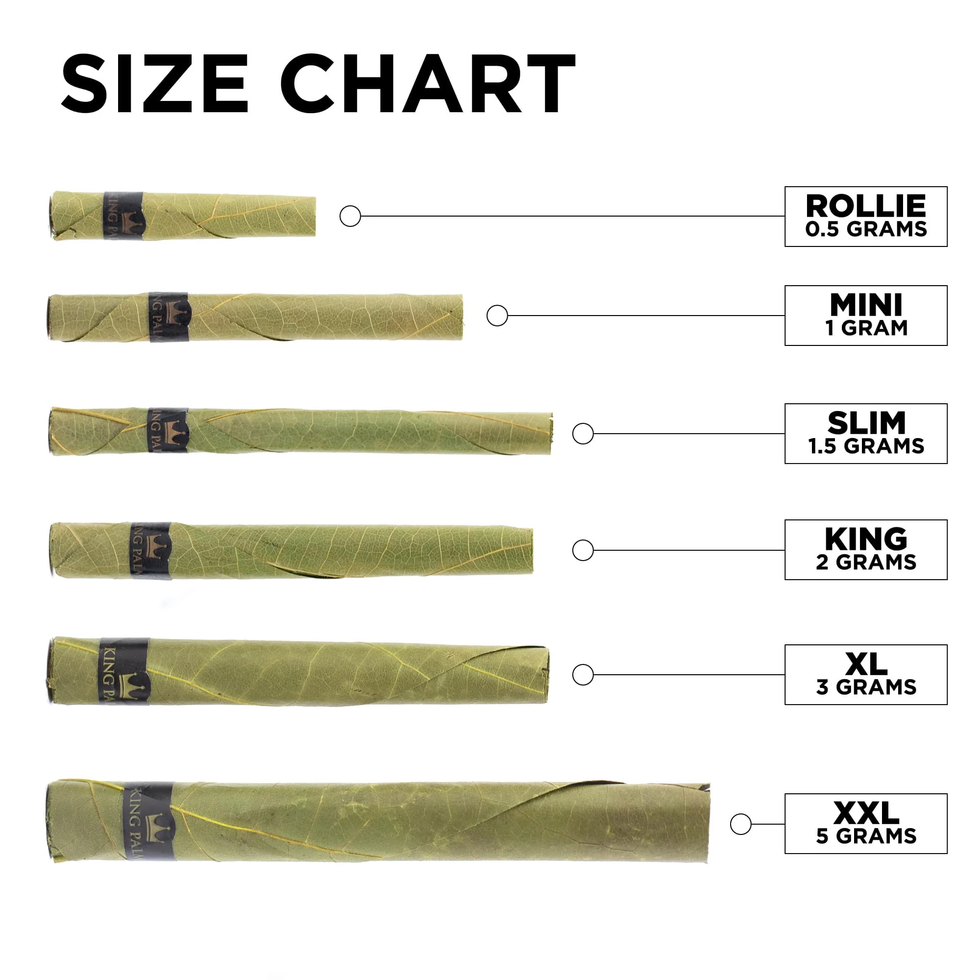 480 XXL Rolls - Image 3