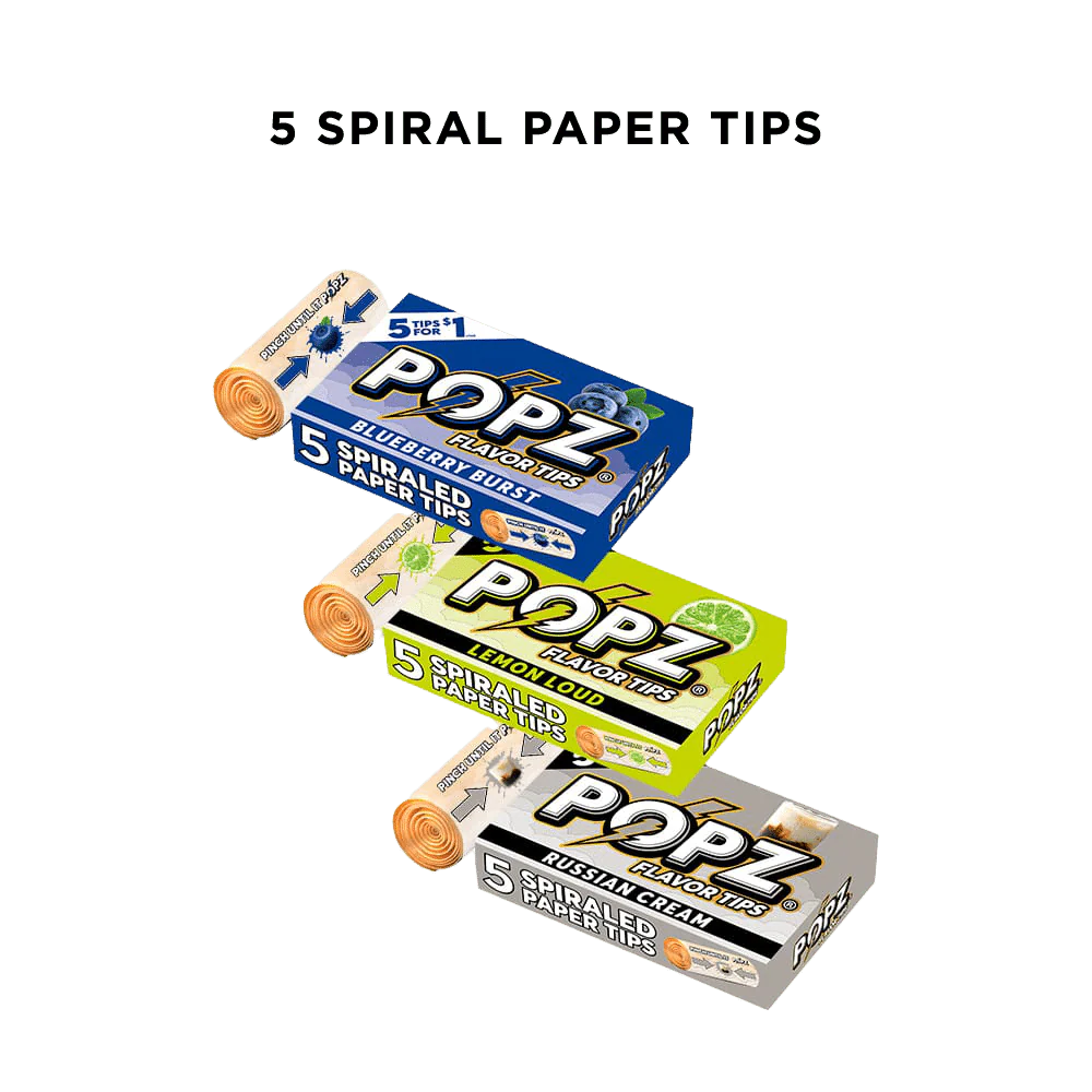 5 Spiral Paper Tips | 3 Flavors Available