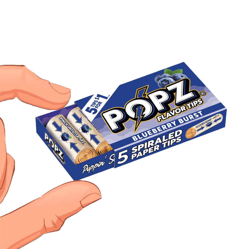 5 Spiral Paper Tips | 3 Flavors Available - Image 8