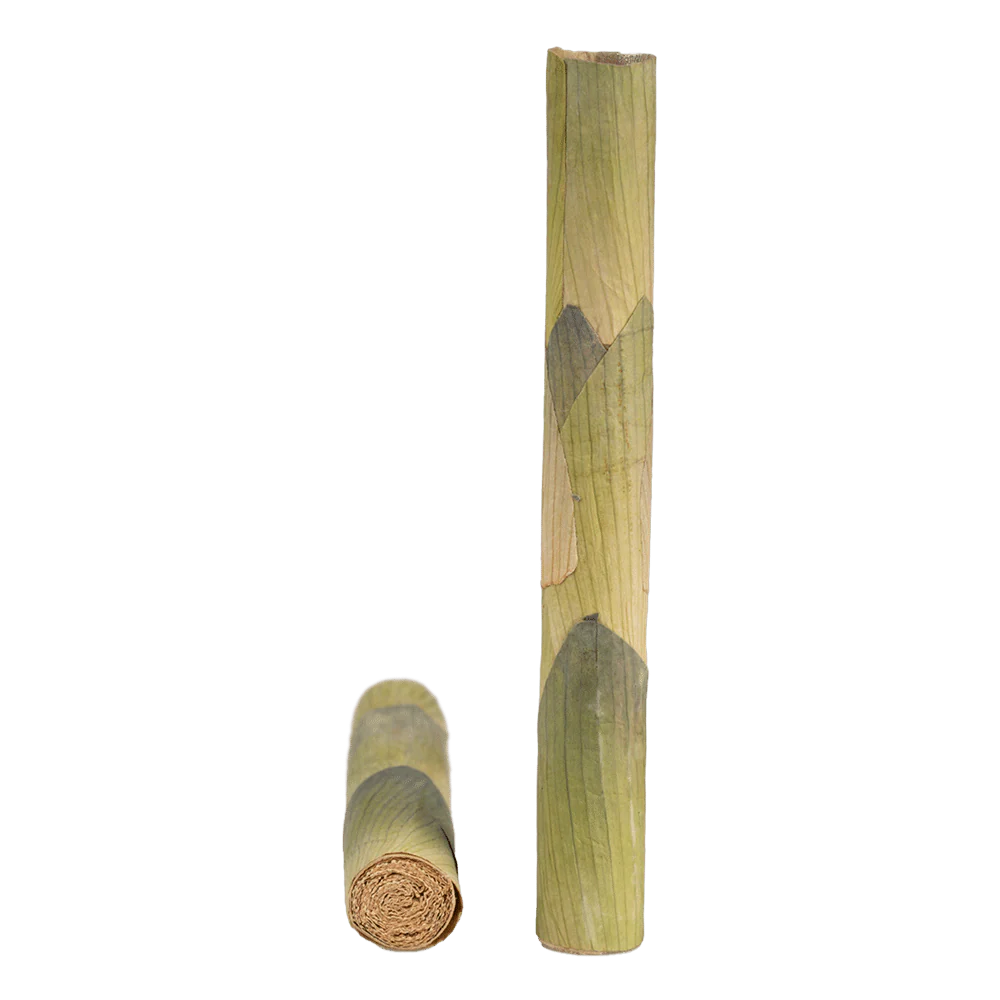 Single Lotus Tubes - 3 Sizes Available - Image 5
