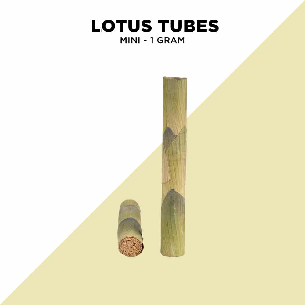 Single Lotus Tubes - 3 Sizes Available - Image 9